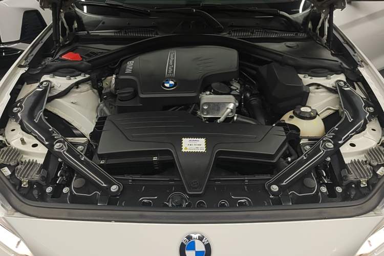 Used BMW 2 Series 2015 220i Convertible Coupe Leading Model Engine Bay