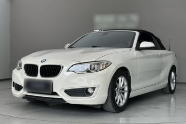 Used BMW 2 Series 2015 218i Convertible Coupe
