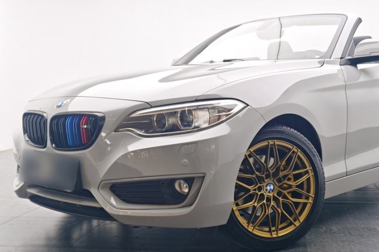 Used BMW 2 Series 2015 220i Convertible Coupe Leading Model Exterior 1