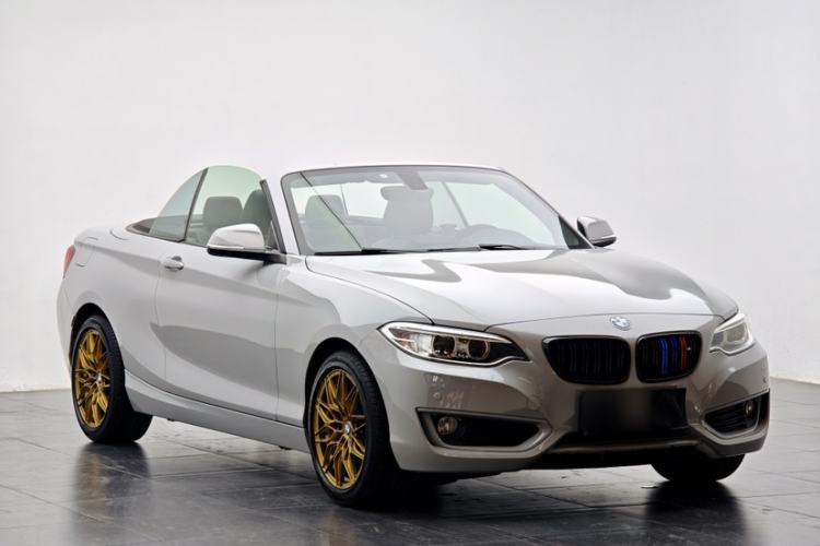 Used BMW 2 Series 2015 220i Convertible Coupe Leading Model Exterior 11