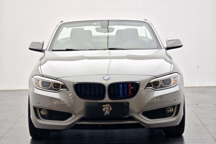 Used BMW 2 Series 2015 220i Convertible Coupe Leading Model Exterior 12