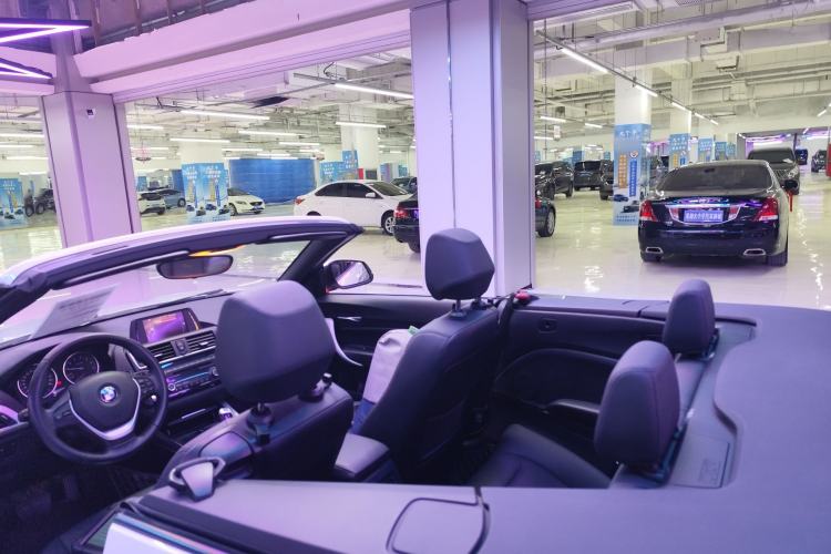 Used BMW 2 Series 2015 218i Convertible Coupe Headliner