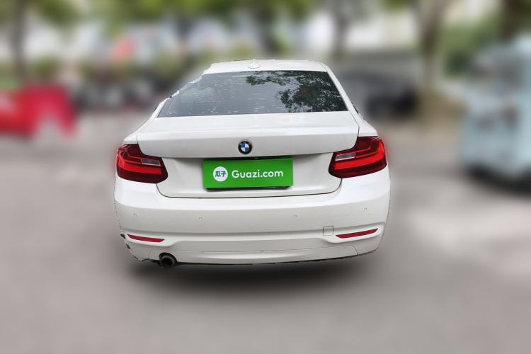 Used BMW 2 Series 2015 218i Rear