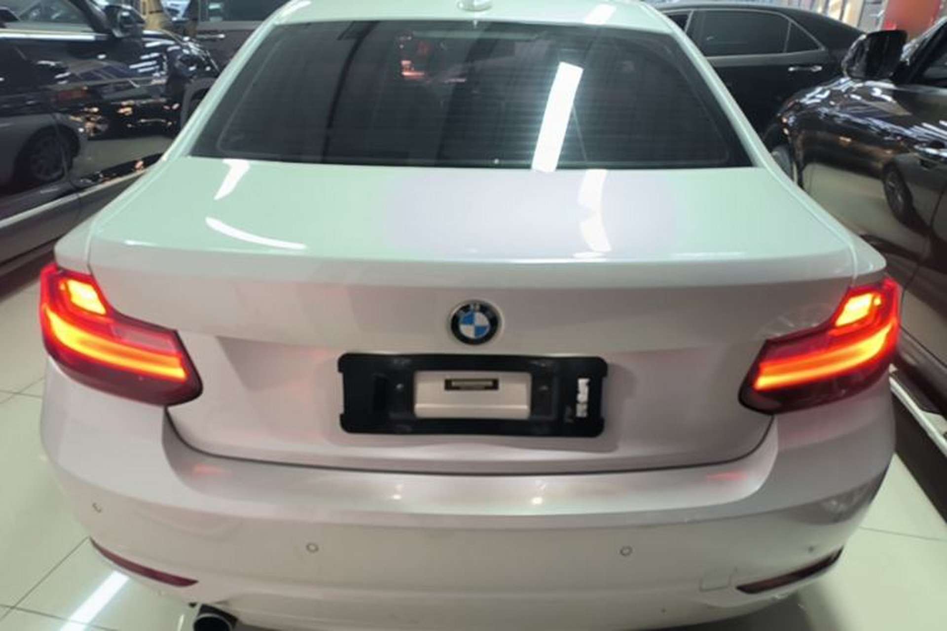 Used BMW 2 Series 2015 218i Rear