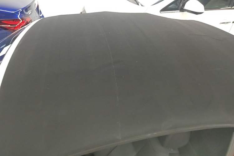 Used BMW 2 Series 2015 220i Convertible Coupe Leading Model Roof