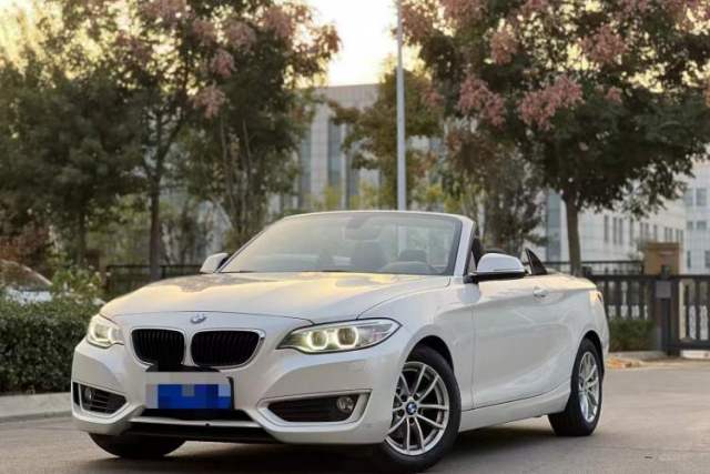 Used BMW 2 Series 2015 218i Convertible Coupe