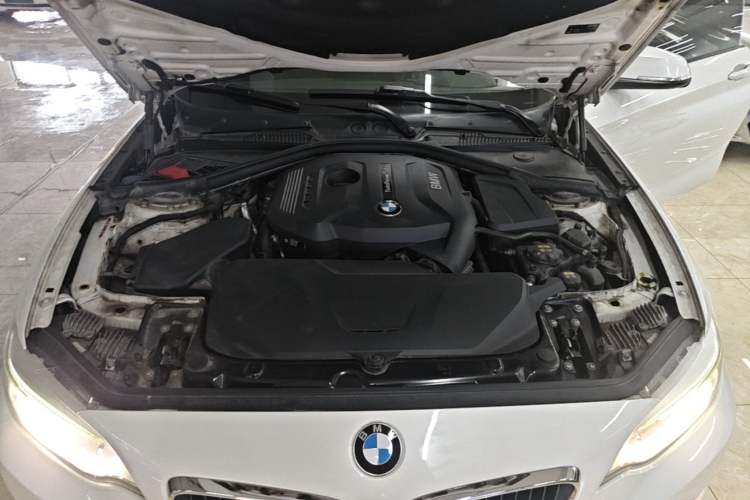Used BMW 2 Series 2017 220i Leading Model Engine Bay