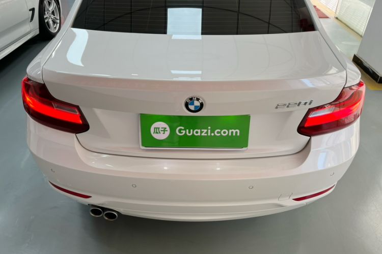 Used BMW 2 Series 2017 220i Leading Model Exterior 5