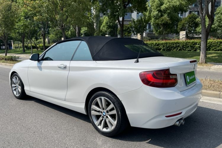 Used BMW 2 Series 2017 220i Convertible Coupe Leading Model Exterior 7