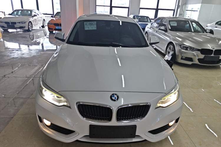 Used BMW 2 Series 2017 220i Leading Model Front
