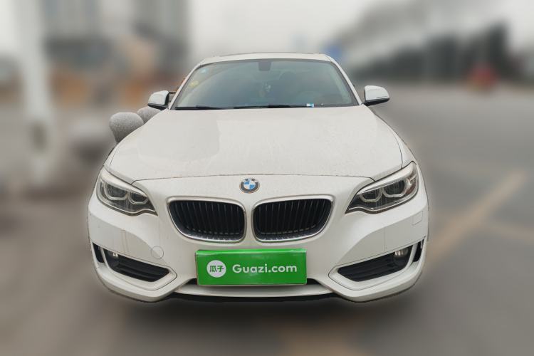 Used BMW 2 Series 2017 220i Leading Model Front