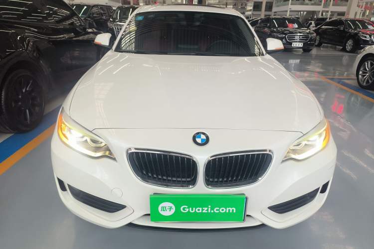 Used BMW 2 Series 2017 220i Leading Model Front