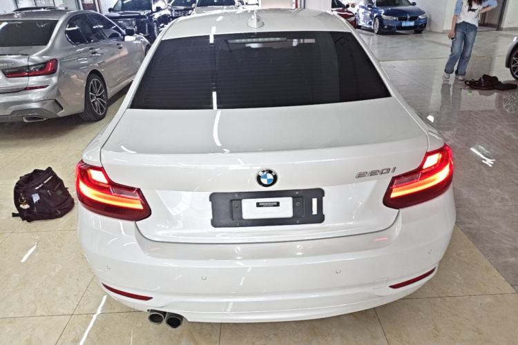 Used BMW 2 Series 2017 220i Leading Model Rear