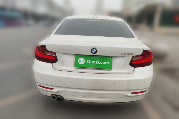 Used BMW 2 Series 2017 220i Leading Model Rear
