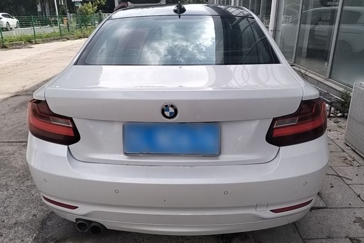 Used BMW 2 Series 2017 220i Leading Model Rear