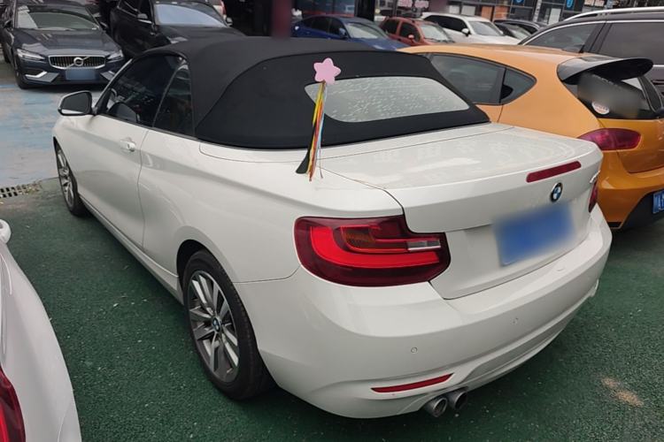 Used BMW 2 Series 2017 220i Convertible Coupe Leading Model Rear Left 45 Deg