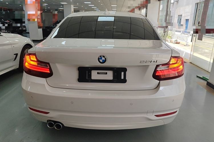 Used BMW 2 Series 2017 220i Leading Model Rear