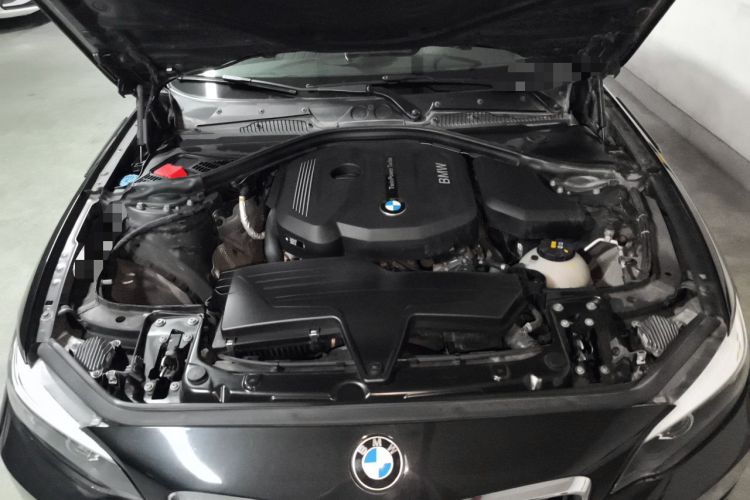 Used BMW 2 Series 2018 220i Sport Design Package Engine Bay