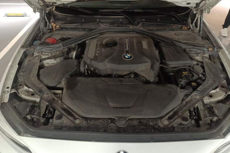 Used BMW 2 Series 2018 225i Convertible Coupe Luxury Model M Sport Package Engine Bay