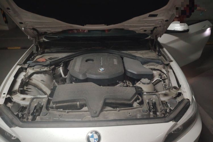 Used BMW 2 Series 2018 220i Sport Design Package Engine Bay