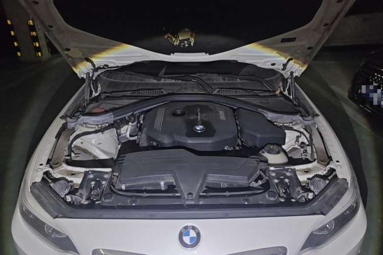 Used BMW 2 Series 2018 220i Sport Design Package Engine Bay