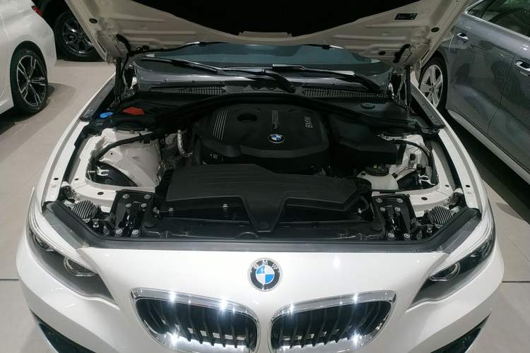 Used BMW 2 Series 2018 220i Sport Design Package Engine Bay
