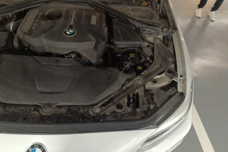 Used BMW 2 Series 2018 225i Convertible Coupe Luxury Model M Sport Package Engine Bay Left