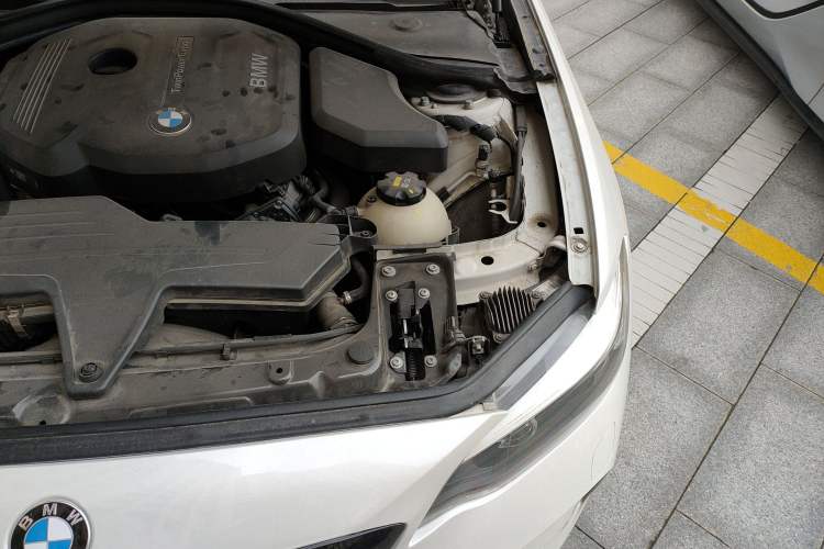 Used BMW 2 Series 2018 220i Sport Design Package Engine Bay Left