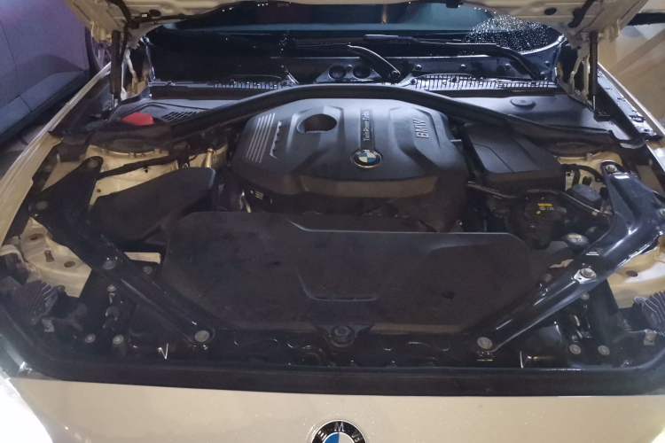 Used BMW 2 Series 2018 225i Convertible Coupe Luxury Model M Sport Package Engine Bay