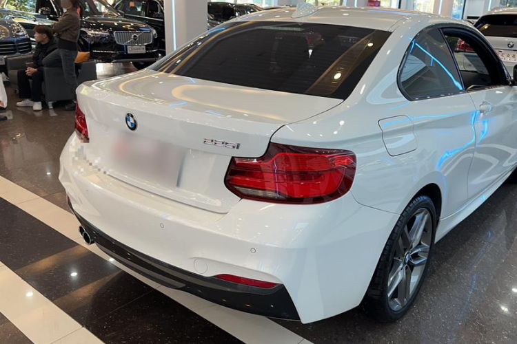 Used BMW 2 Series 2018 225i M Sport Exterior 5