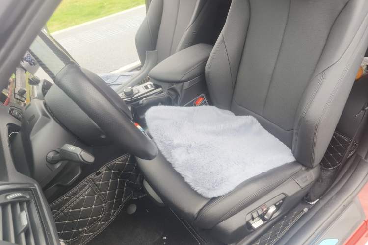 Used BMW 2 Series 2019 225i Convertible Coupe Sports Design Package Left Front Seat