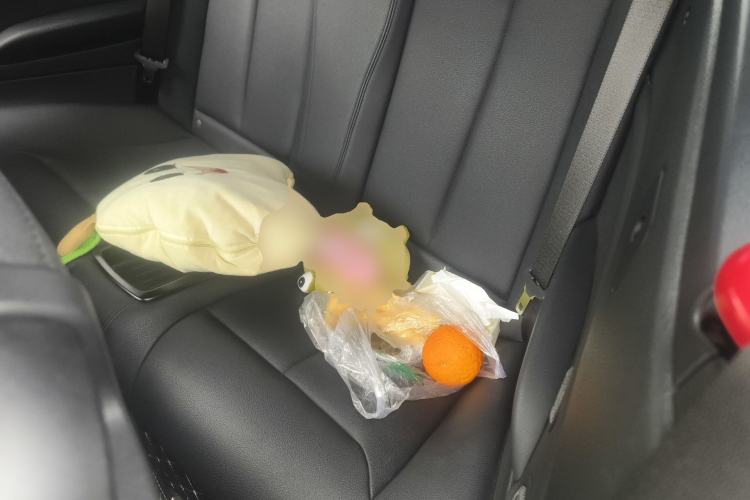 Used BMW 2 Series 2019 225i Convertible Coupe Sports Design Package Left Rear Seat