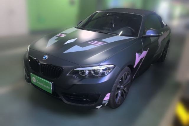 Used BMW 2 Series 2019 225i Convertible Coupe Sports Design Package
