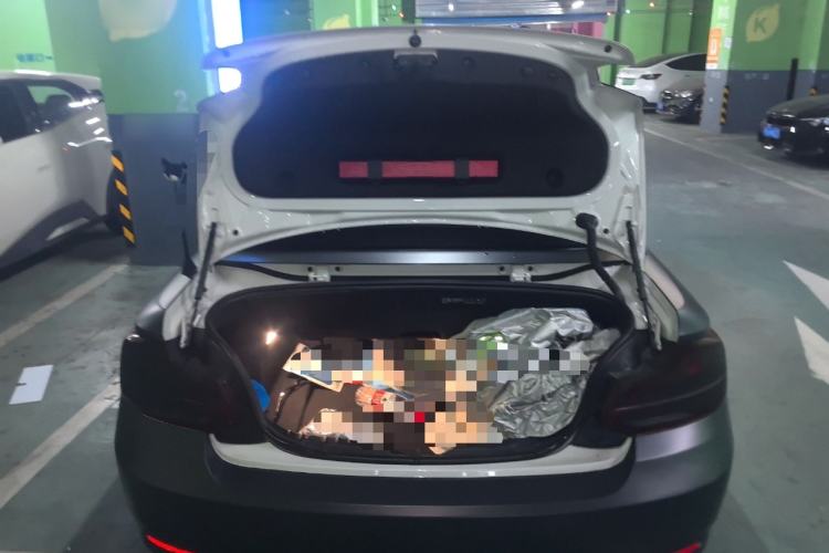 Used BMW 2 Series 2019 225i Convertible Coupe Sports Design Package Trunk