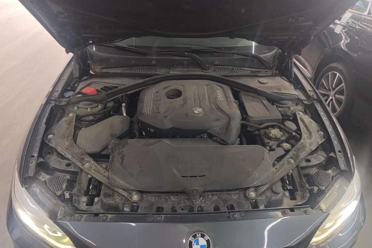 Used BMW 2 Series 2019 225i Convertible Coupe Luxury Edition M Sport Package Engine Bay