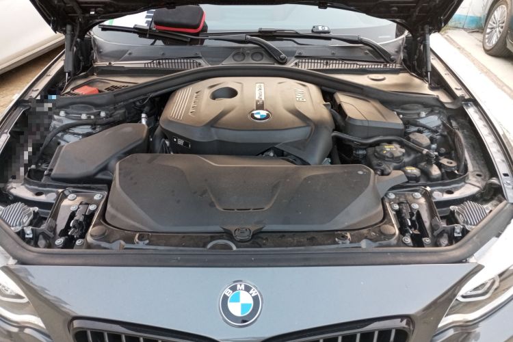Used BMW 2 Series 2019 225i Luxury Model with M Sport Package Engine Bay