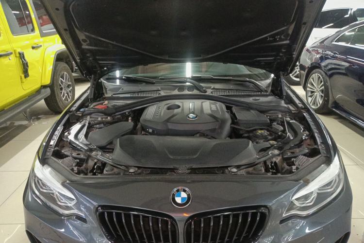 Used BMW 2 Series 2019 225i Convertible Coupe Luxury Edition M Sport Package Engine Bay