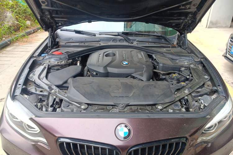 Used BMW 2 Series 2019 225i Convertible Coupe Luxury Edition M Sport Package Engine Bay