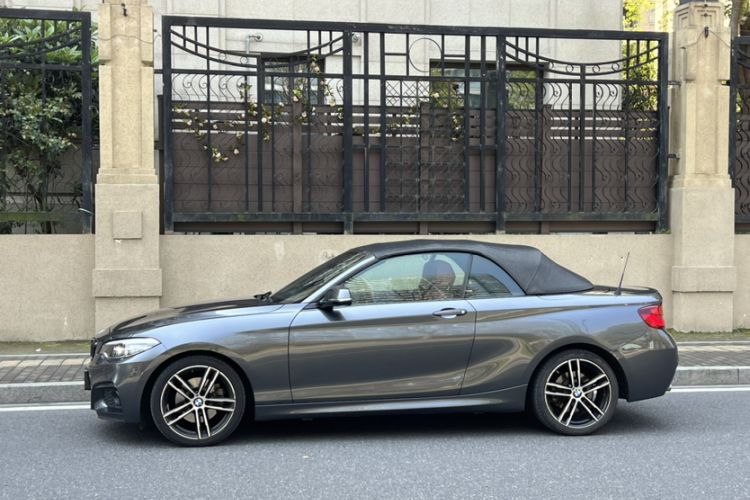 Used BMW 2 Series 2019 225i Convertible Coupe Luxury Edition M Sport Package Exterior 10