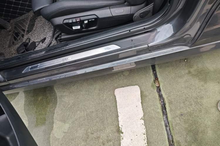 Used BMW 2 Series 2019 225i Sport Design Package Left Side Sill