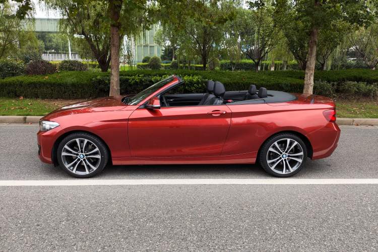 Used BMW 2 Series 2019 225i Convertible Coupe Sports Design Package Left Side