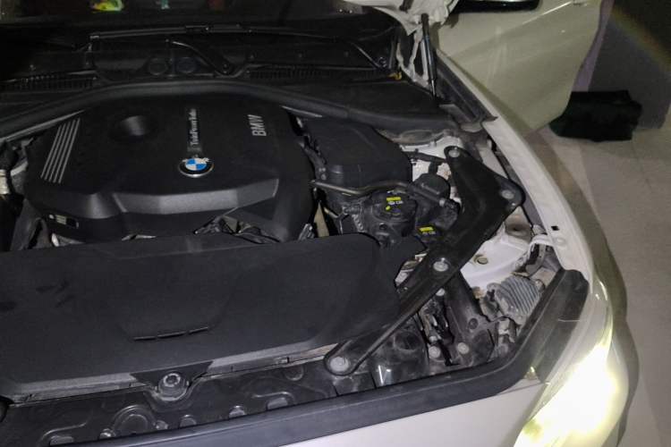 Used BMW 2 Series 2019 225i Convertible Coupe Luxury Edition M Sport Package Engine Bay Left