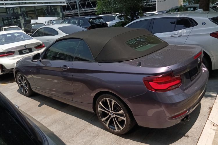 Used BMW 2 Series 2019 225i Convertible Coupe Sports Design Package Left Side