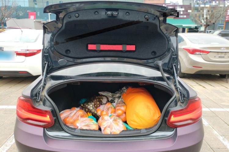 Used BMW 2 Series 2019 225i Sport Design Package Trunk