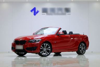 Used BMW 2 Series 2019 225i Convertible Coupe Sports Design Package