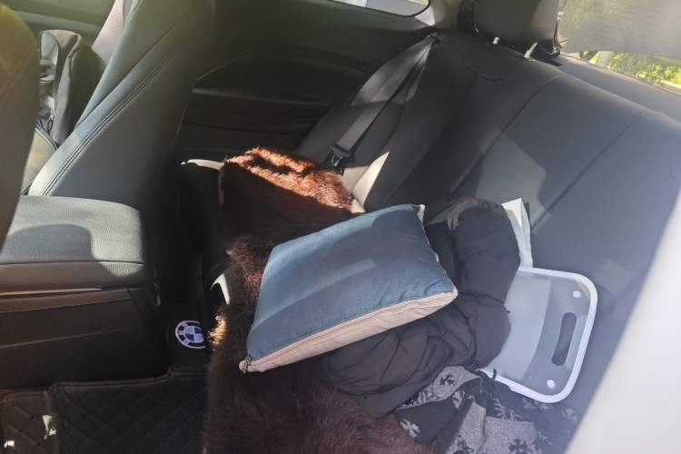Used BMW 2 Series 2019 225i Sport Design Package Left Rear Seat