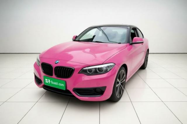 BMW 2 Series 2019 225i Sport Design Package usado