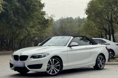 Used BMW 2 Series 2019 225i Convertible Coupe Sports Design Package