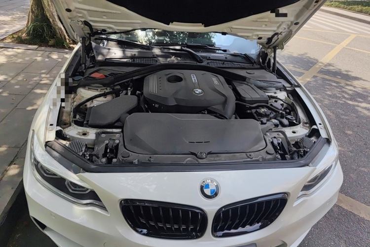 Used BMW 2 Series 2019 225i Luxury Model with M Sport Package Engine Bay