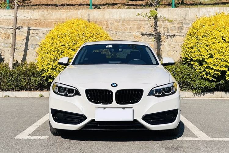 Used BMW 2 Series 2019 225i Sport Design Package Exterior 2